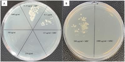 Cryptophytes as potential source of natural antimicrobials for food preservation